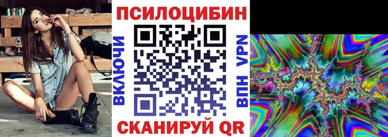 дарнет шоп  Новочеркасск  Псилоцибиновые грибы Cubensis 